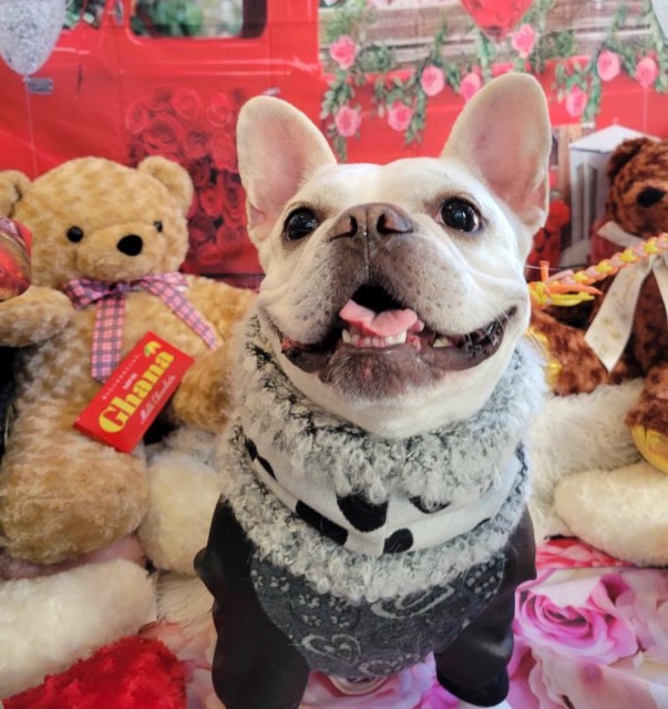 ケメ子＆ピノ子 さま