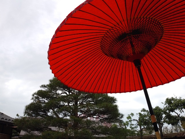 ねむねむり さま