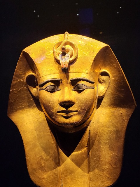 アソビュー！ユーザー さま