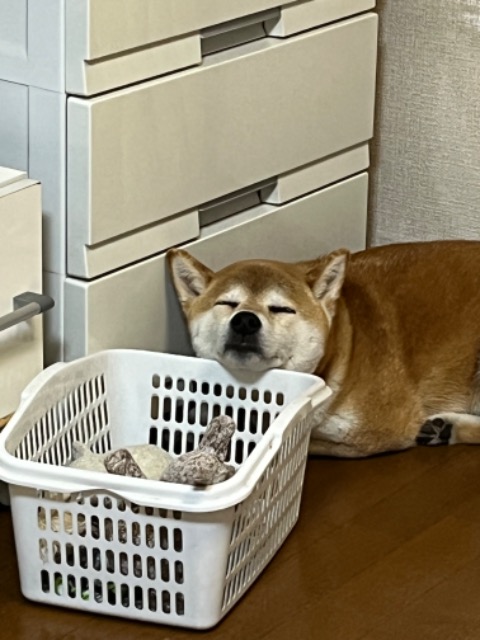 なちゅなちゅ さま