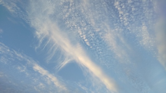 パッカパカG さま