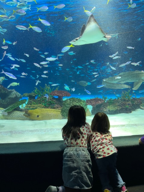 まおちゃんさん さま