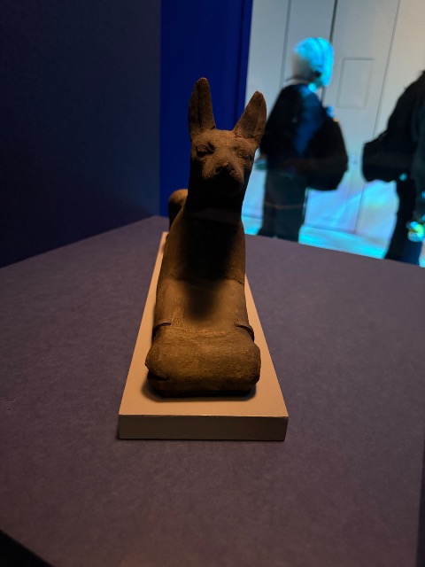 ｱﾇﾋﾞｽ さま