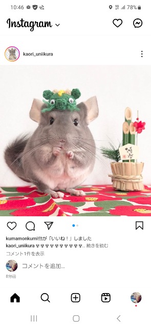 はーちゃん さま