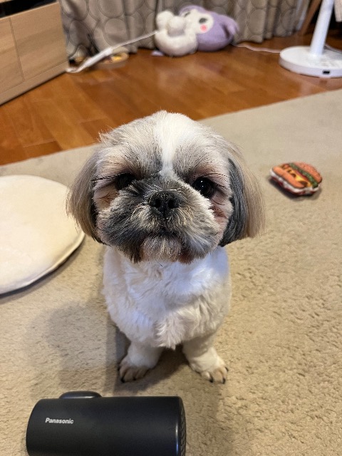 ぽんぽんまる さま