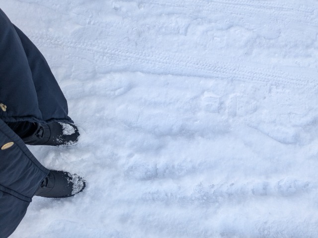 はいとおん さま