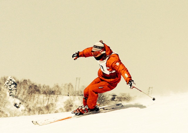 ヒラヤマコウキ さま