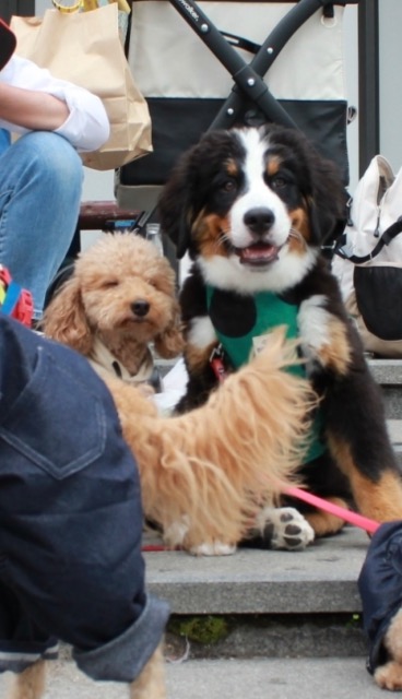 いぃちゃん さま