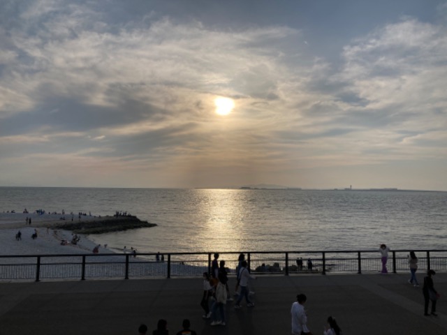 ひまちゃんと愉快な仲間たち さま