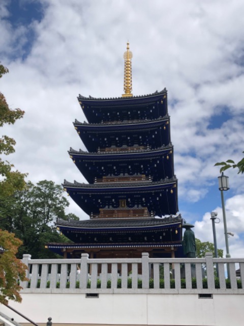 たかぴょん さま