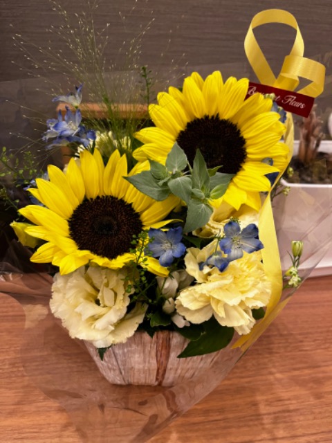 やまちゃん さま