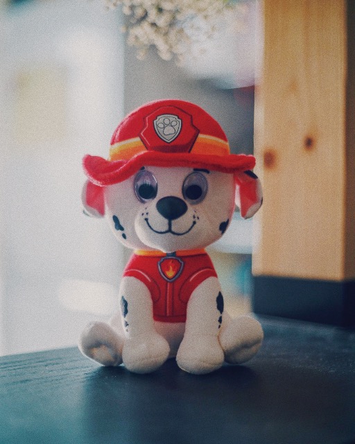 ドンタコス さま