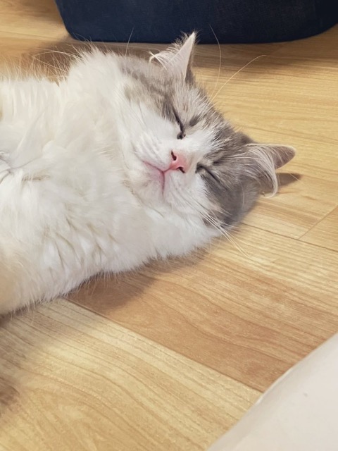 すみれっさ さま