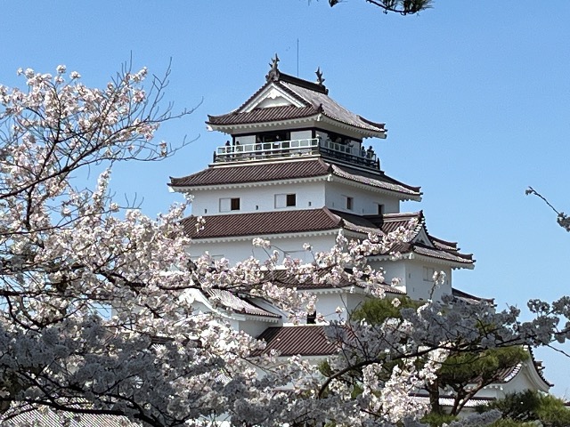 アソビュー！ゆう さま
