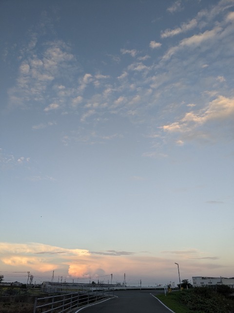 sasa(⁠◕⁠ᴗ⁠◕⁠✿⁠) さま