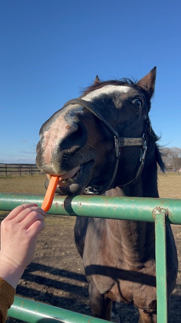 じゃーもん さま