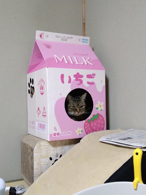 チョコラテ さま