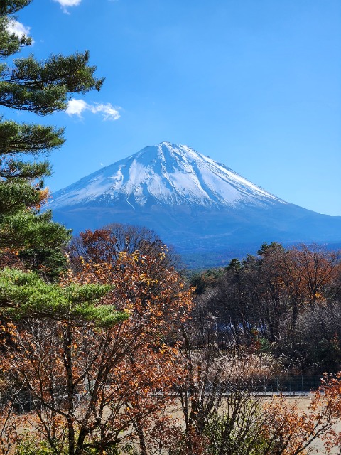 主夫しか勝たん さま