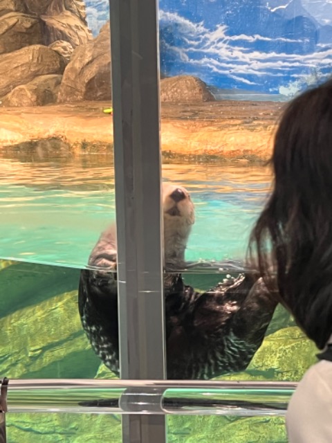 らいおんさん さま