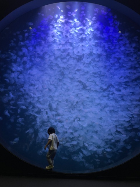 がっつん01321 さま