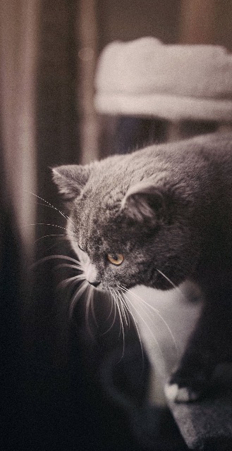 yuri さま