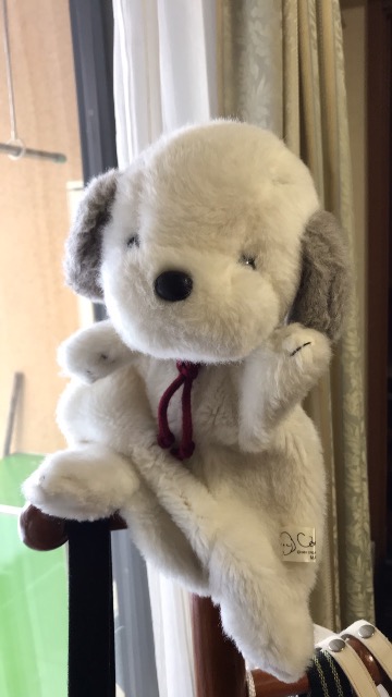 ビーグル犬のうめきち さま