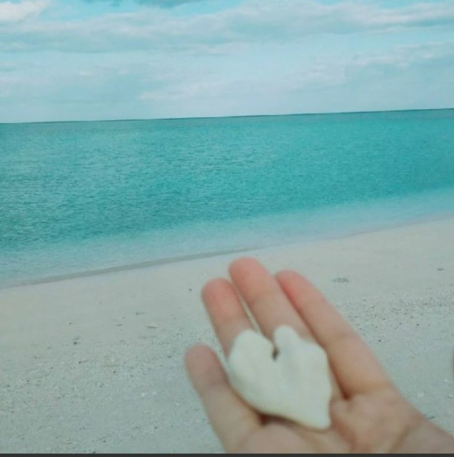 みっくさん さま