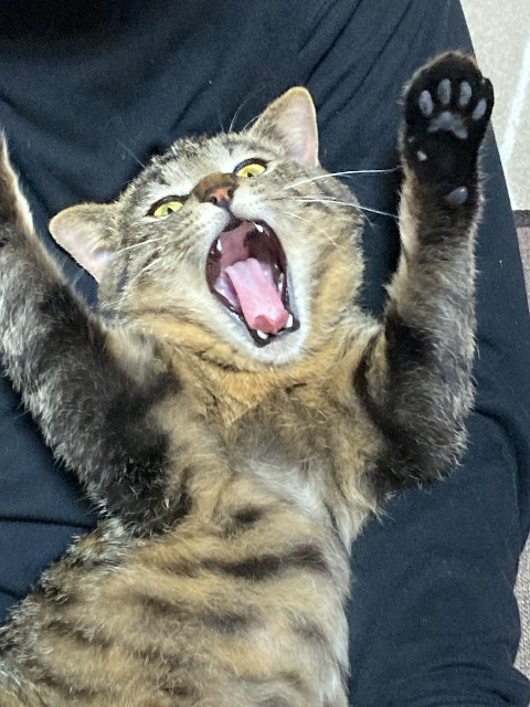 ユカ さま