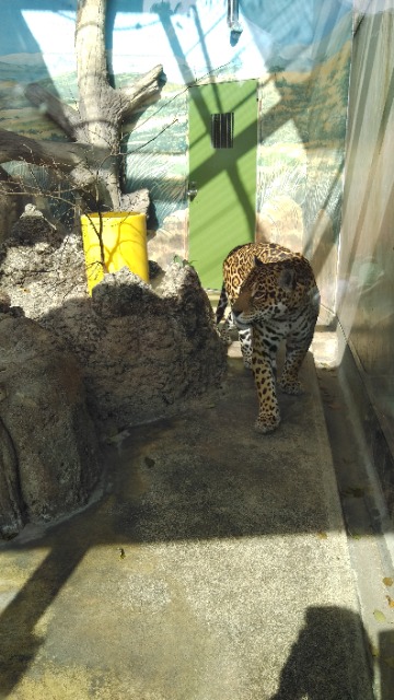 K＆Rのまま(•ө•)♡ さま