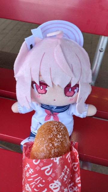 十六夜圭ト さま