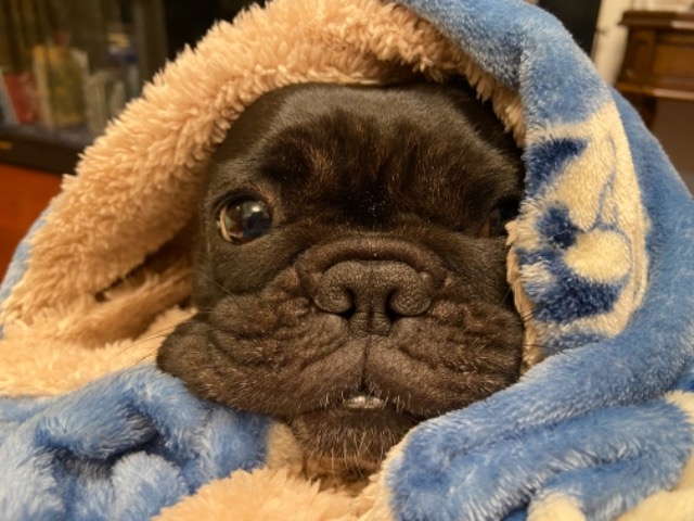 わい•えす さま