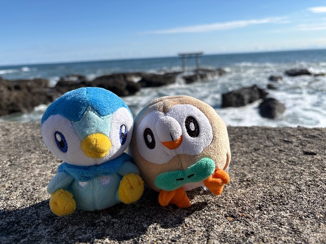 ぽっちゃま さま