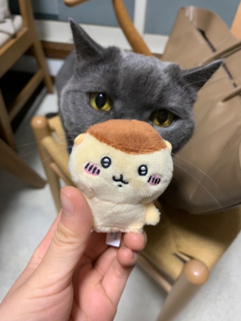 mogmog さま