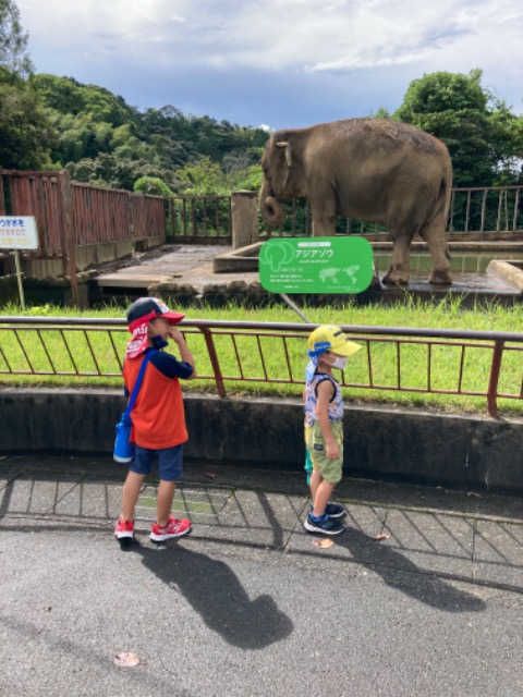 トミエミ さま