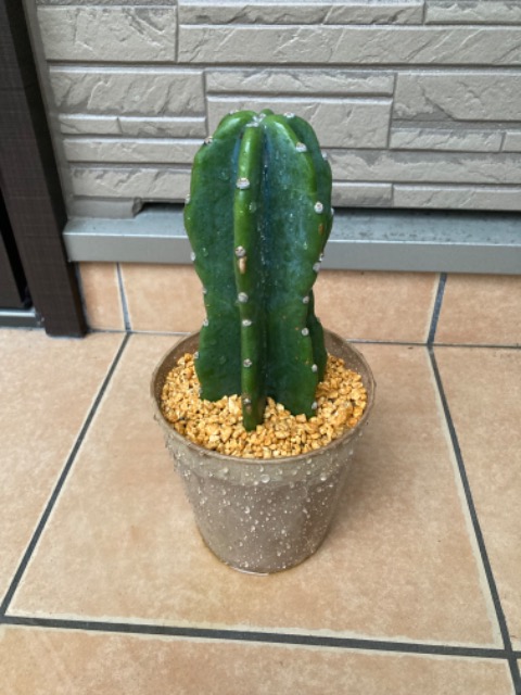 タカシックス さま