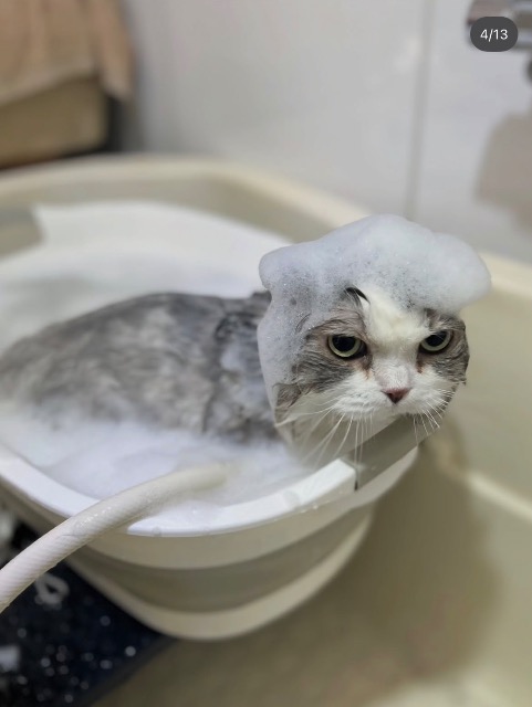 fukifuki さま