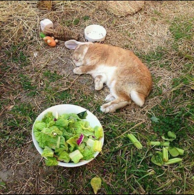 かなお さま