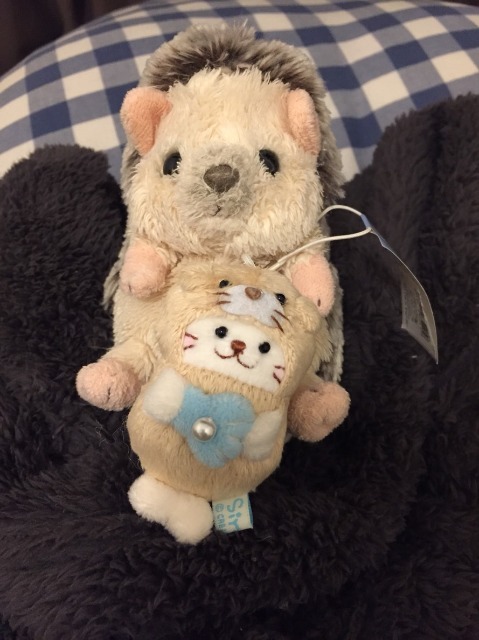 めみちょむ さま
