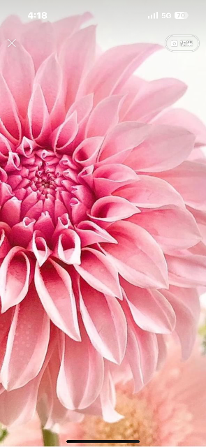 なるちゃん さま