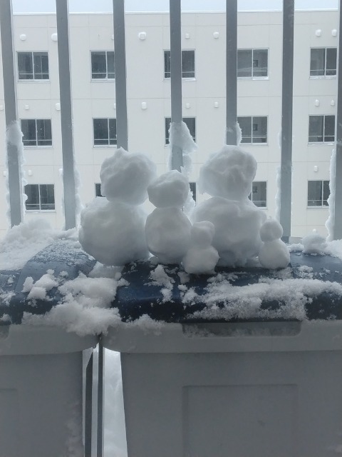 ぐんちゃん さま