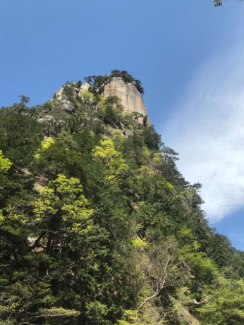 はっち٩( 'ω' )و*⭐︎ さま