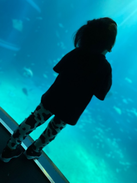 スタッフの笑顔が素敵でした さま