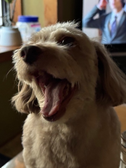 なかまっち さま