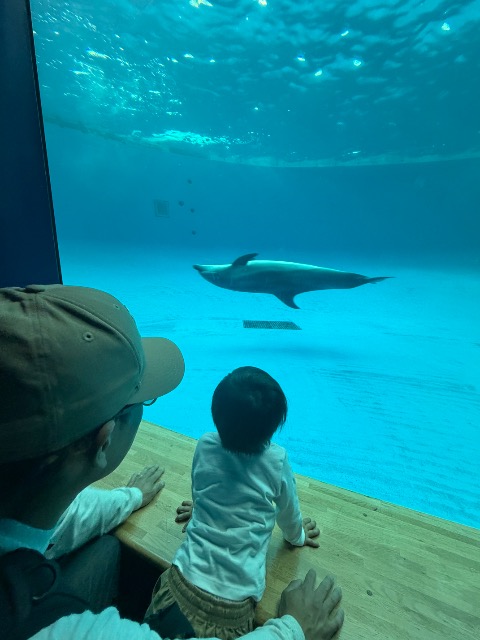 ひとで さま