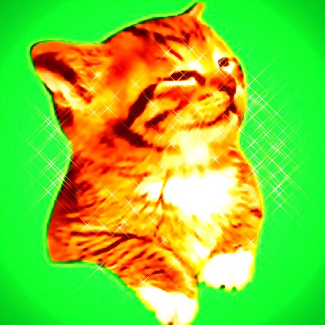 ayusuzuki1030 さま