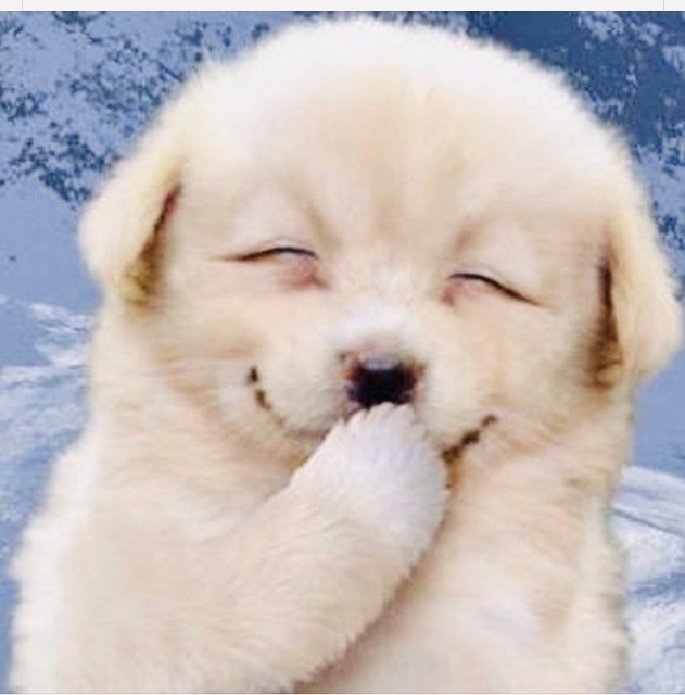 かみふーせん さま