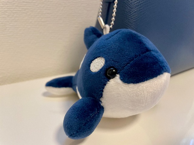 港のかぼす さま