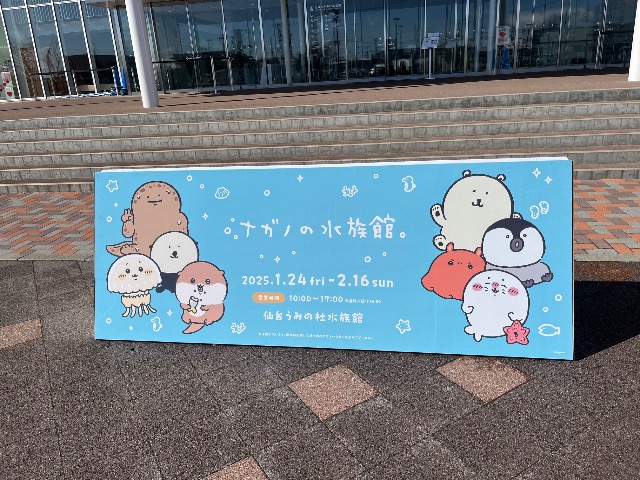 ｱｲｳｴｵ さま