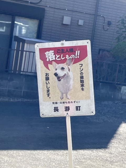 いでし さま