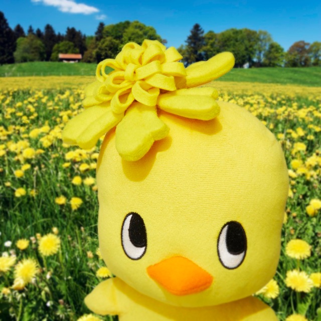 ますみぃさん さま
